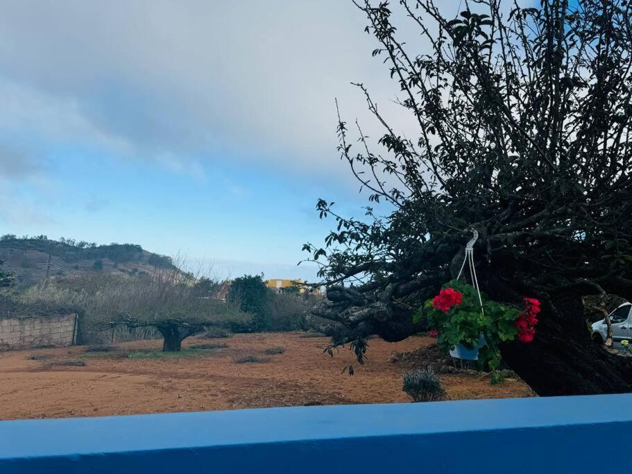 La Casita De Rosi Villa La Esperanza  Eksteriør bilde